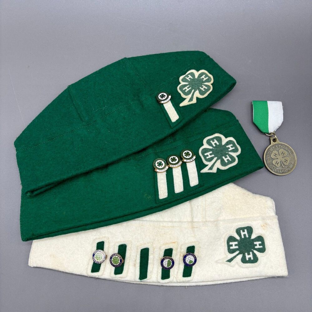 Vintage 4-H Memorabilia Lot California Achievement Pins Hats Medal 1950s Youth
